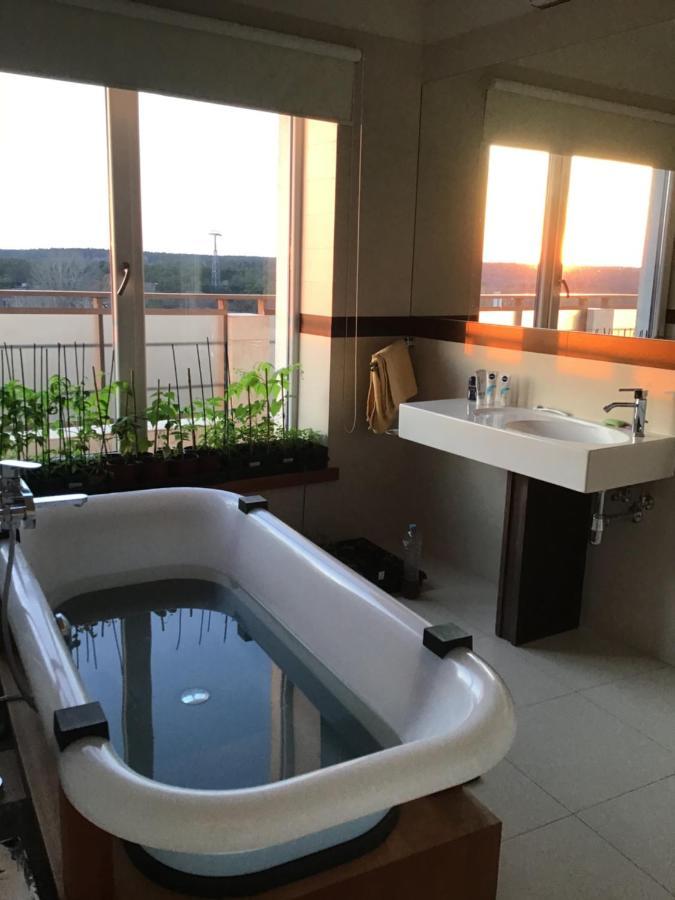 Panorama Apartment Druskininkai Dış mekan fotoğraf